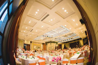 大慶藝群婚慶 以專業匠心，雕琢您的豪華婚禮夢想